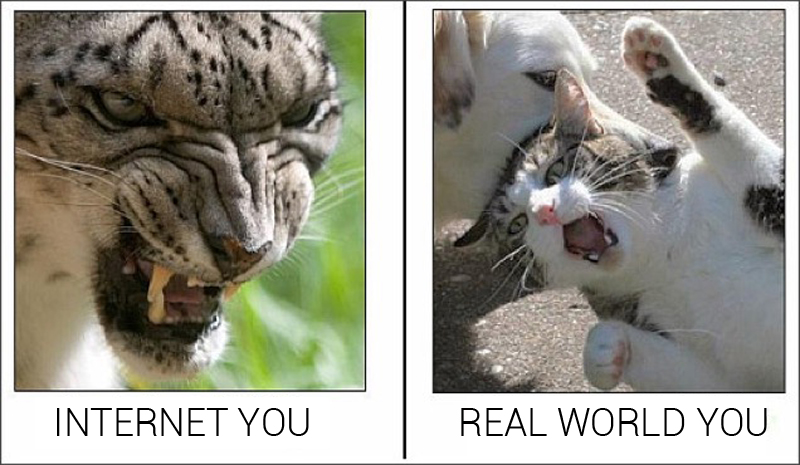 Illustration for article titled Japan's "Internet You Vs. the Real You" Meme